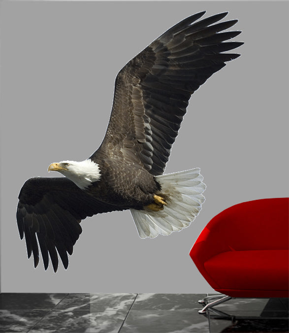 Soaring Eagle Wall Decal Cutout Installed