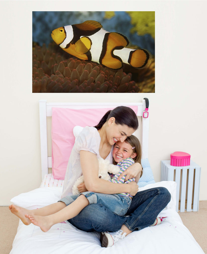 Clown & Anemone Wall Decal Poster Installed