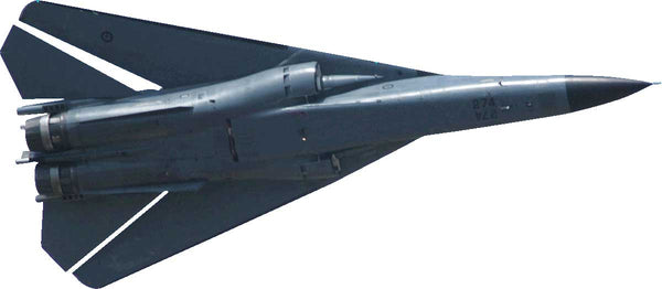 F-111 Aardvark Wall Decal Cutout