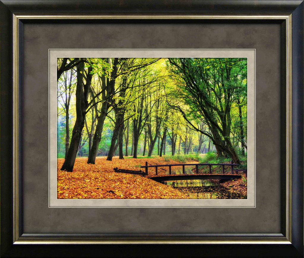 Fall Tree Tunnel Framed Art 19.25"x23.25"