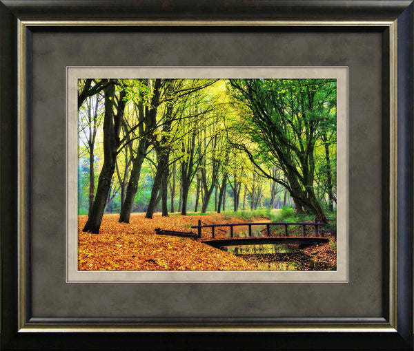 Fall Tree Tunnel Framed Art 19.25"x23.25"