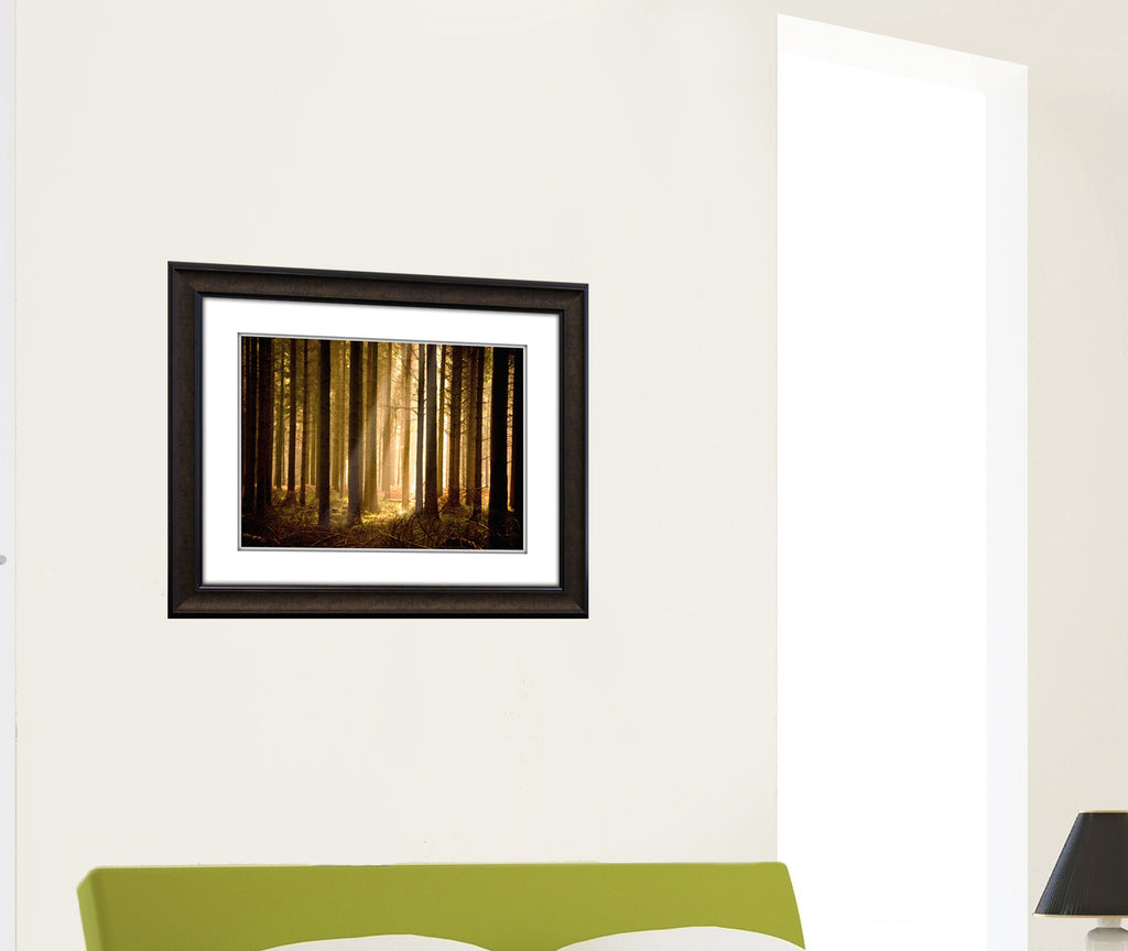 Pine Tree Light Framed Art 19.25"x23.25" Installed