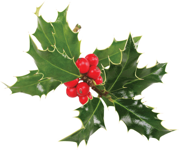 Holly Wall Decal Cutout