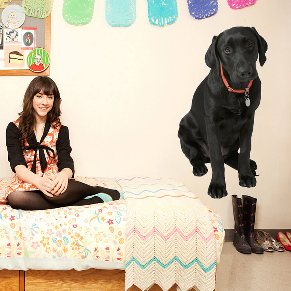 Black Lab Dog Wall Decal Installed