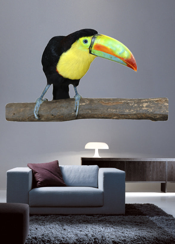 Toucan Wall Decal Cutout Installed