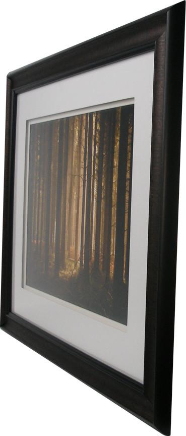 Pine Tree Light Framed Art 19.25"x23.25" Angle